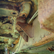 Image for article titled How I Turned A Free Jeep Grand Wagoneer Into A Decent Example Of A True Classic